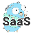 SaaS