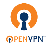 OpenVPN config