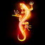 Salamander's avatar